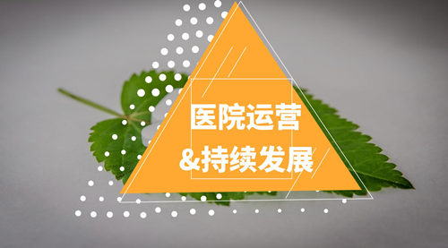 民營(yíng)醫(yī)院運(yùn)營(yíng) 民營(yíng)醫(yī)院運(yùn)營(yíng)