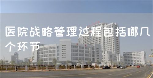 醫(yī)院戰(zhàn)略管理過程包括哪幾個環(huán)節(jié)(圖1) 醫(yī)院戰(zhàn)略管理過程包括哪幾個環(huán)節(jié)(圖1)