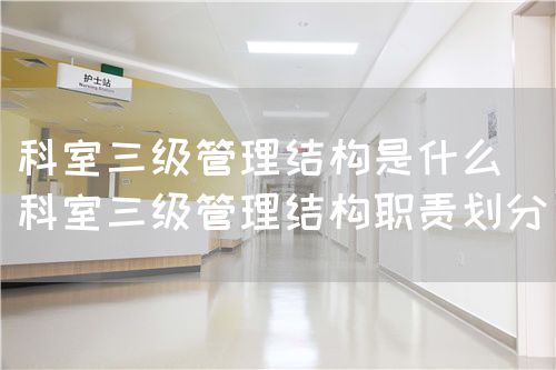 科室三級管理結(jié)構(gòu)是什么(科室三級管理結(jié)構(gòu)職責劃分)(圖1) 科室三級管理結(jié)構(gòu)是什么(科室三級管理結(jié)構(gòu)職責劃分)(圖1)