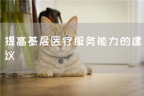 提高基層醫(yī)療服務(wù)能力的建議(圖1)