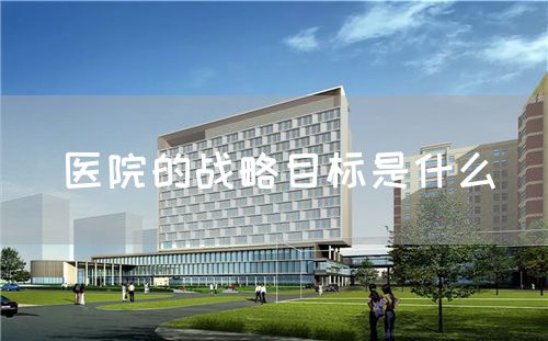 醫(yī)院的戰(zhàn)略目標(biāo)是什么(圖1) 醫(yī)院的戰(zhàn)略目標(biāo)是什么(圖1)