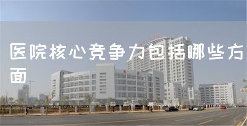 醫(yī)院核心競爭力包括哪些方面(圖1) 醫(yī)院核心競爭力包括哪些方面(圖1)