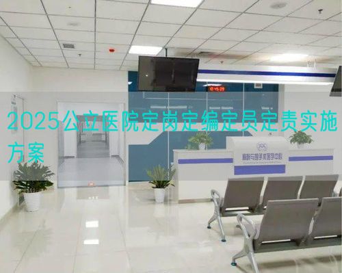 2025公立醫(yī)院定崗定編定員定責(zé)實(shí)施方案(圖1)