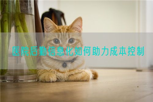醫(yī)院后勤信息化如何助力成本控制(圖1)
