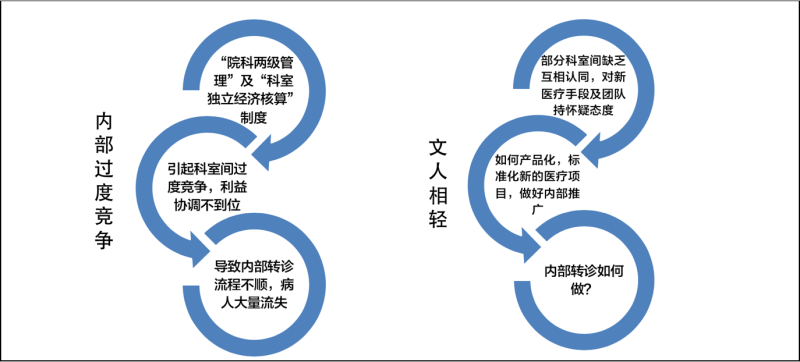 醫(yī)療延伸服務(wù)產(chǎn)品化創(chuàng)新項(xiàng)目咨詢建議書(shū)(圖6)