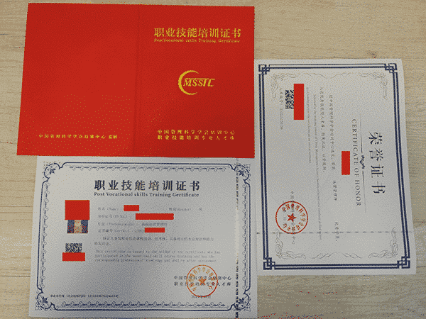 專(zhuān)業(yè)人才職業(yè)能力證書(shū) 專(zhuān)業(yè)人才職業(yè)能力證書(shū)